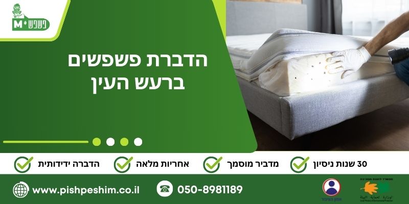 הדברת פשפשים בראש העין