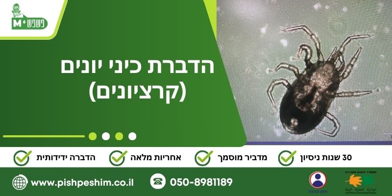 הדברה לכיני יונים