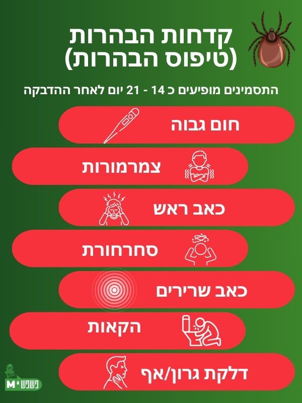 מחלות המועברות על ידי קרציות