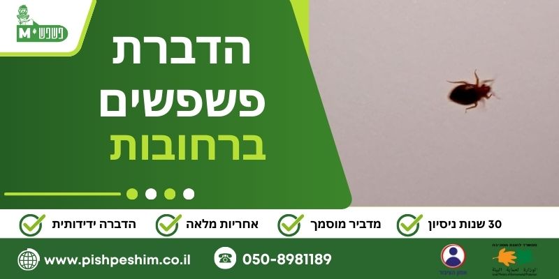הדברת פשפשים ברחובות